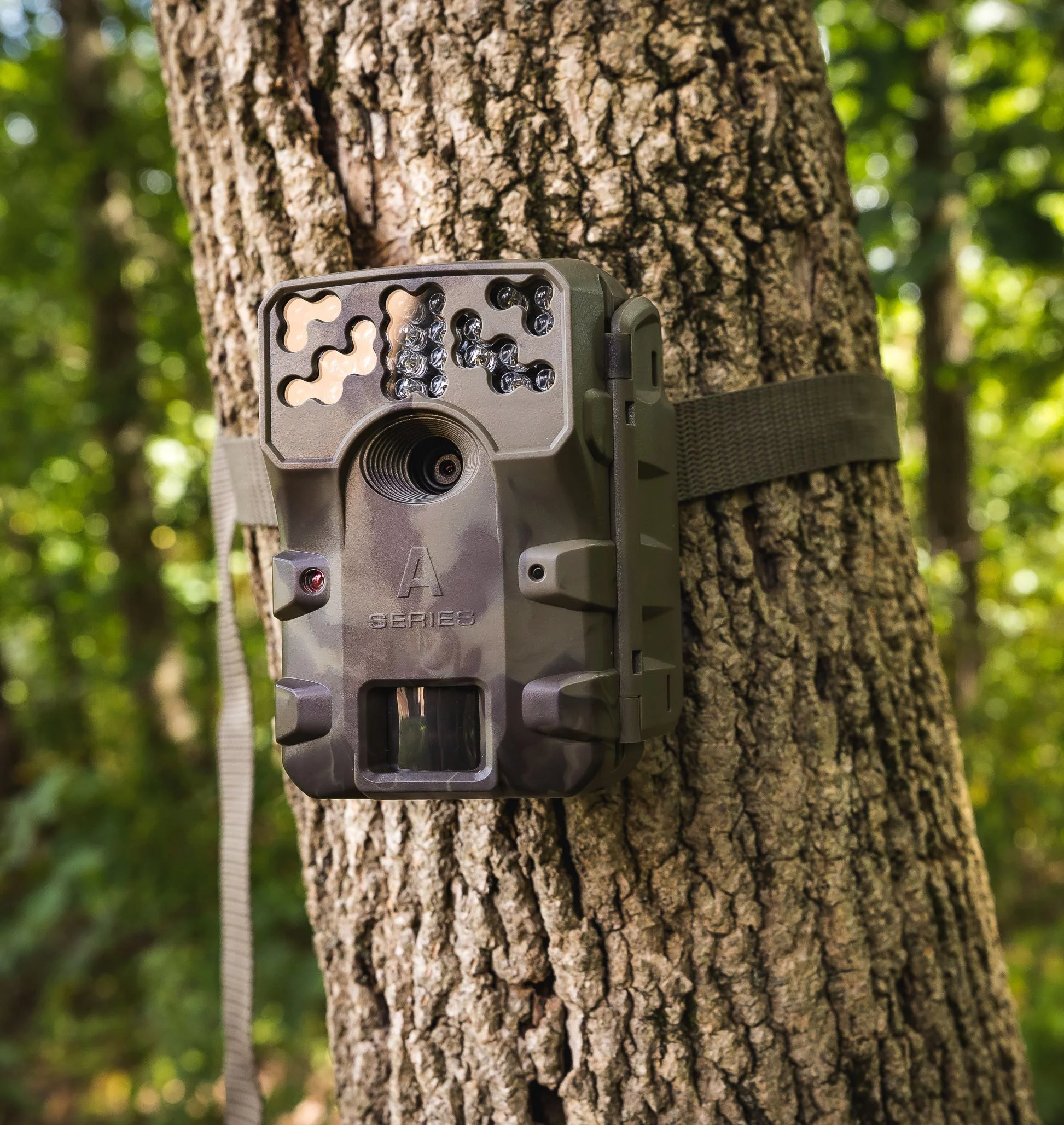 Moultrie W800 Infrared Hunting Trail Camera Bundle, 26 Megapixels
