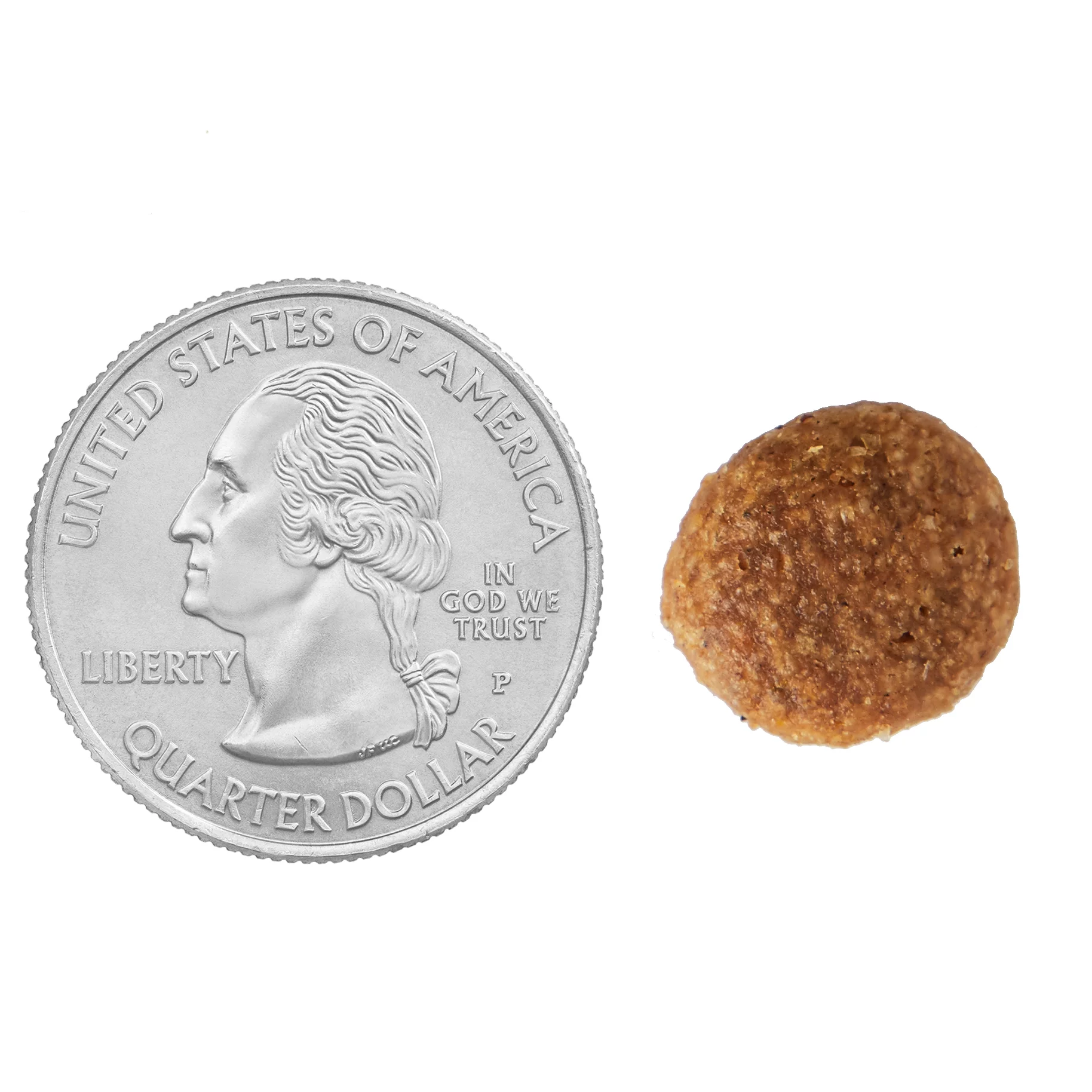 Ol' Roy Puppy Complete Dry Dog Food, 15 lb