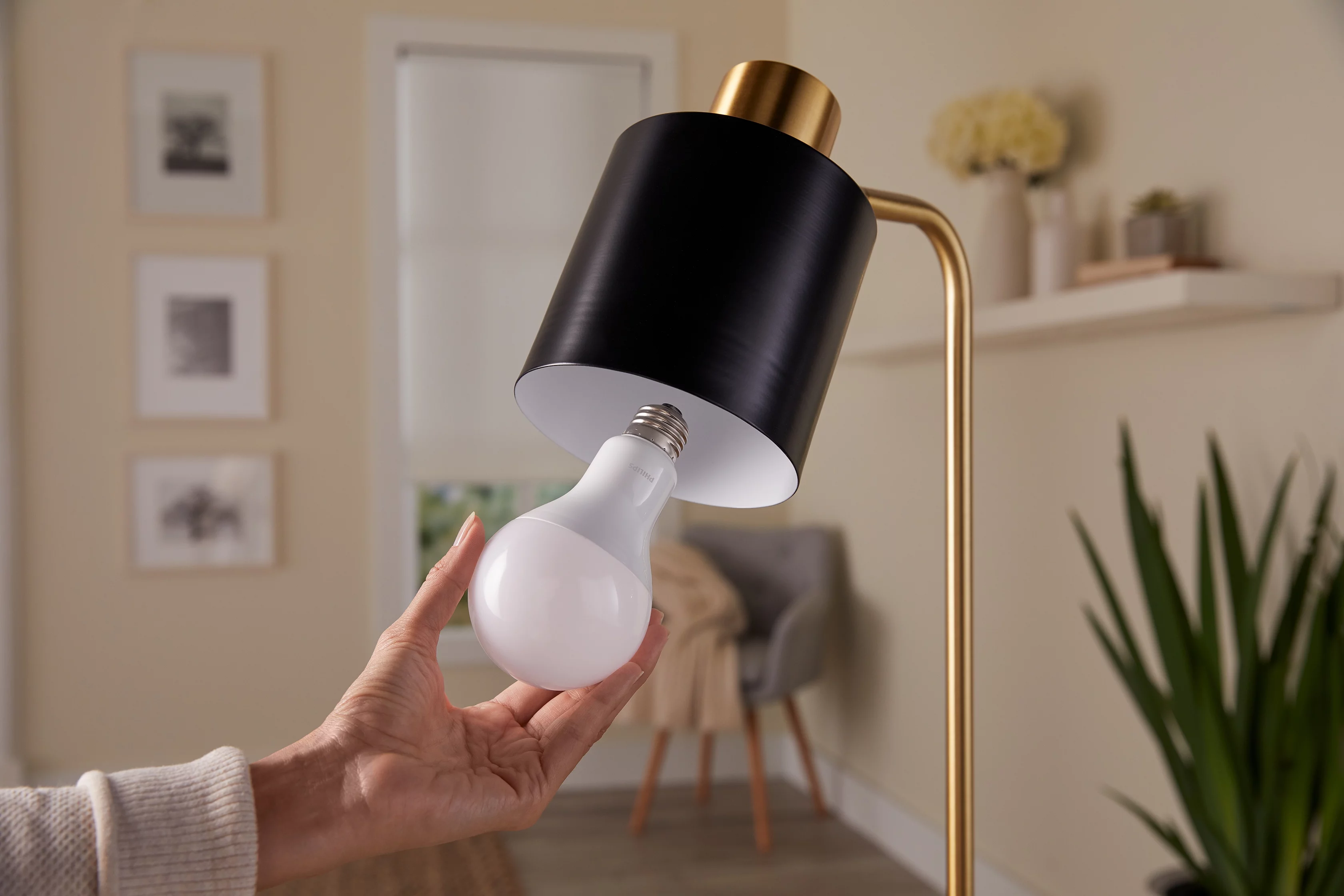 Philips LED 100-Watt A19 General Purpose Light Bulb, Frosted Daylight, Dimmable, E26 Medium Base (2-Pack)