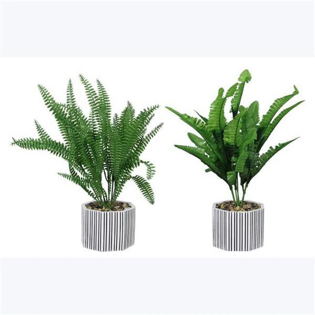 11.81 in. Cement Planter with Greenery, Assorted Style - Set of 2