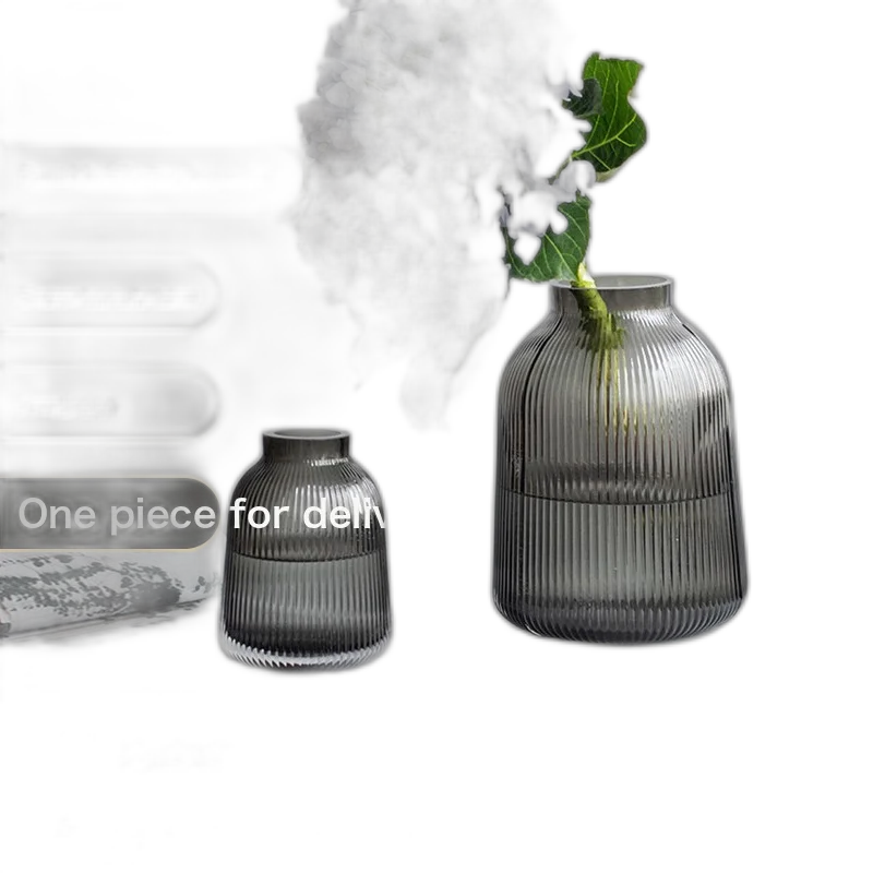 New Vase Scandinavian Minimalist Transparent Glass Vase Balcony Living Room Coffee Table Household Decorative Vase Ornaments Willys-Transparent Large