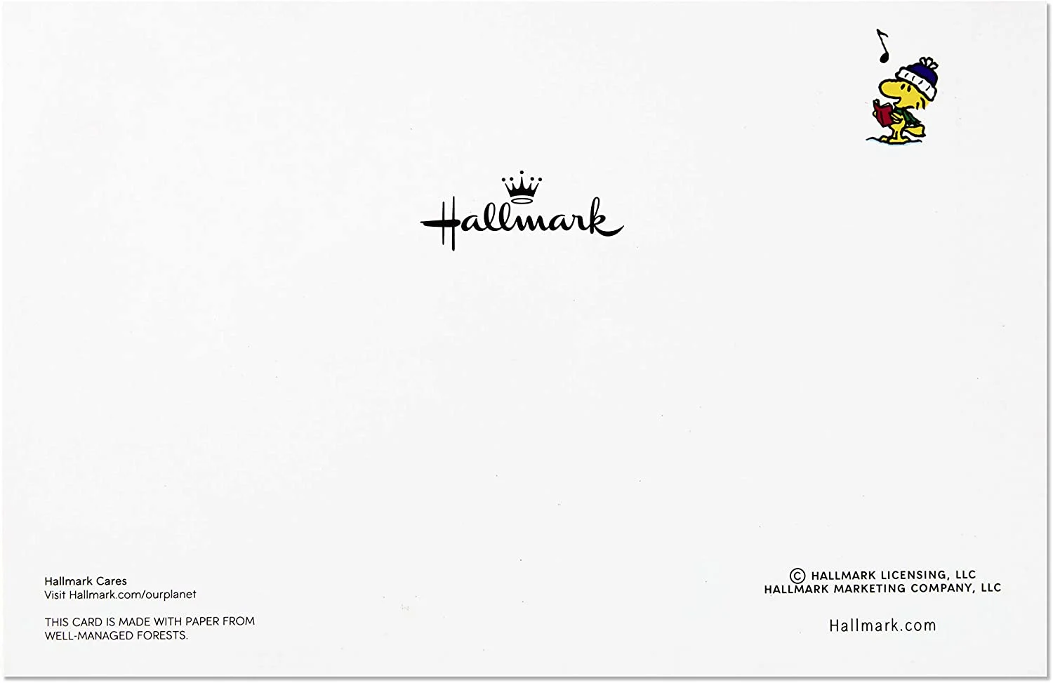 Hallmark Boxed Christmas Cards, Peanuts Gang (40 Cards with Envelopes)