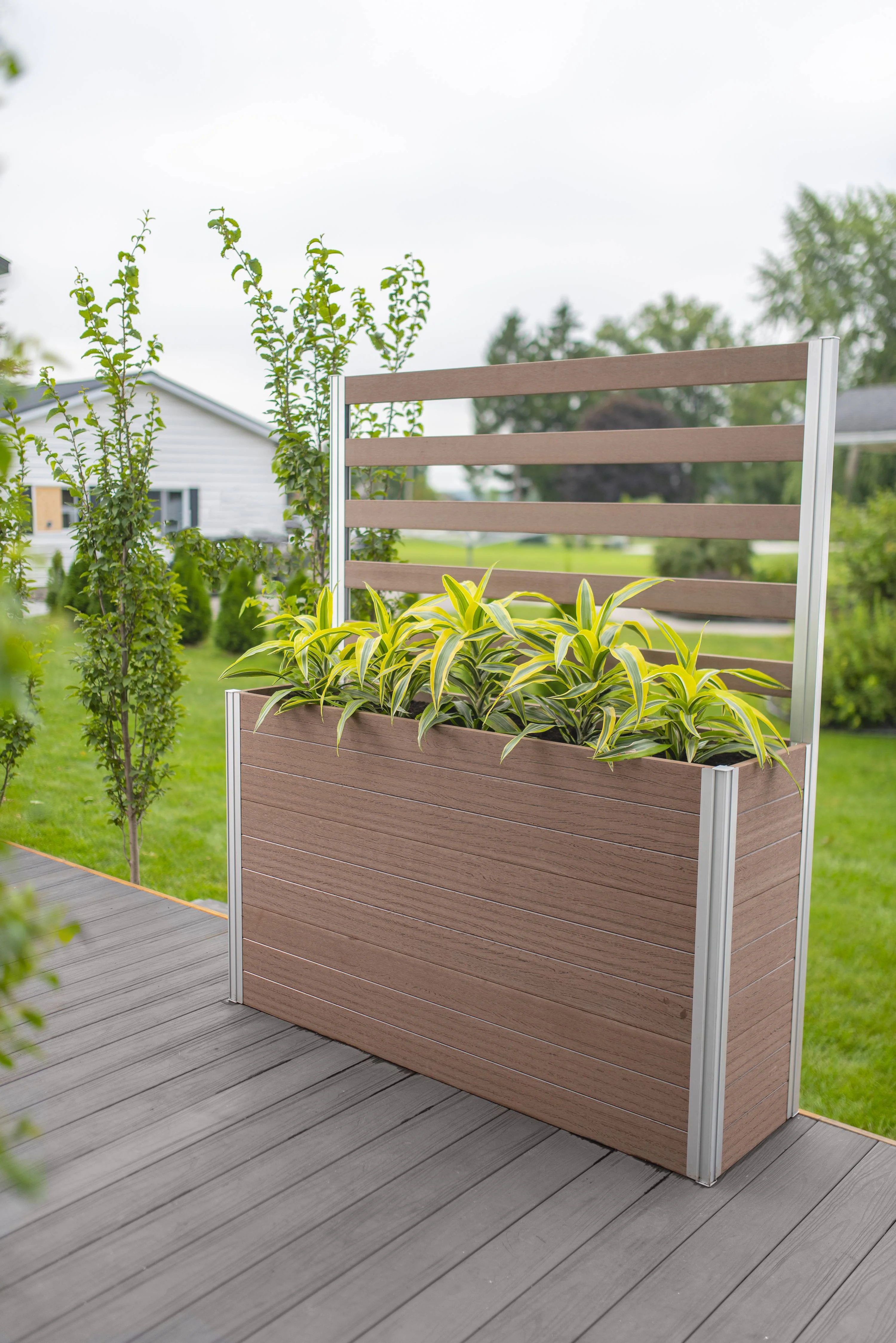 Vita Urbana 57 in L x 16 in W x 66 in H Large Vinyl Parklette Planter with Trellis, Espresso Brown, VT17534