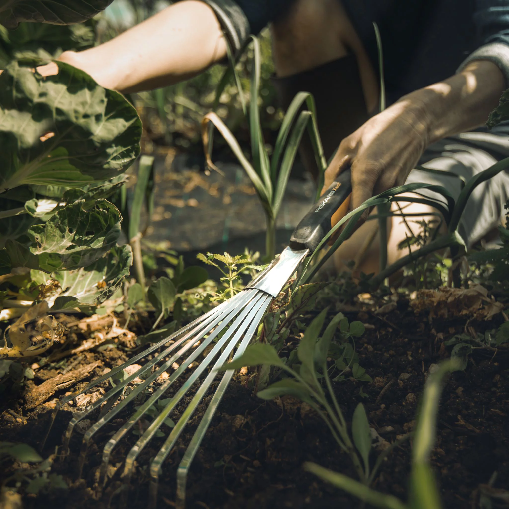 Fiskars Xact Hand Rake Garden Tool with SoftGrip Handle