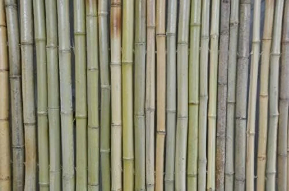 Tonkin Bamboo Fence 4'H X 6'L