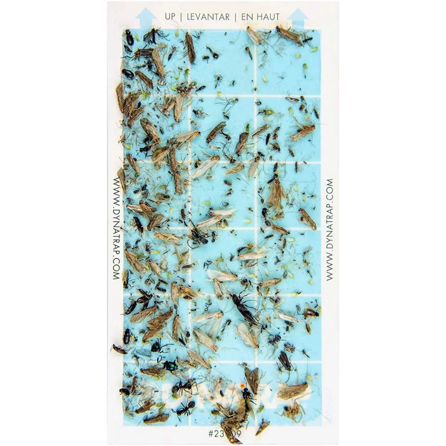 FLYLIGHT INSECT TRAP-WHT