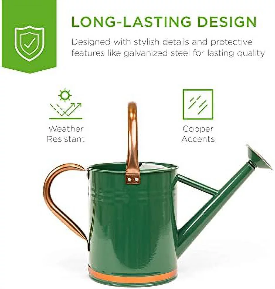 1-Gallon Lightweight Galvanized Steel Gardening Watering Can W/O-Ring, Top Handle, And Copper Accents