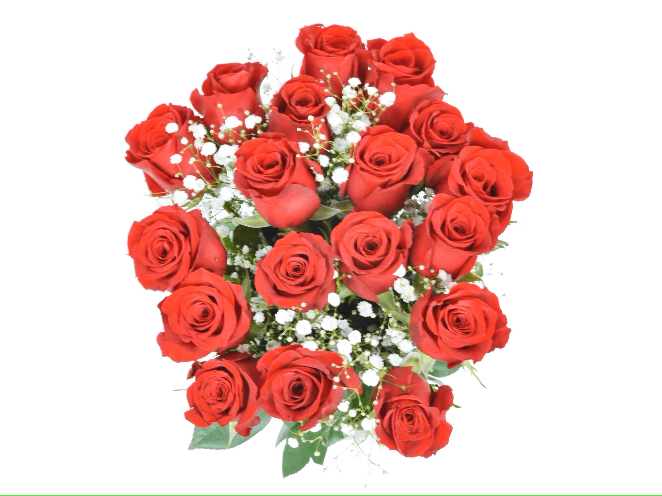 18 Fresh-Cut Red Roses by Arabella Bouquets with a Free Hand-Blown Glass Vase (Fresh-Cut Roses, Red)