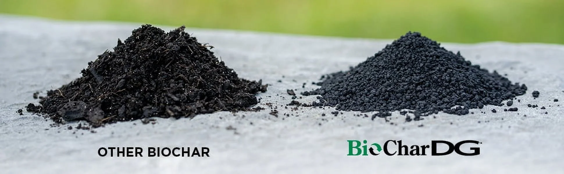 The Andersons BioChar DG Organic Soil Amendment - Covers up to 5,000 sq ft (10 lb)