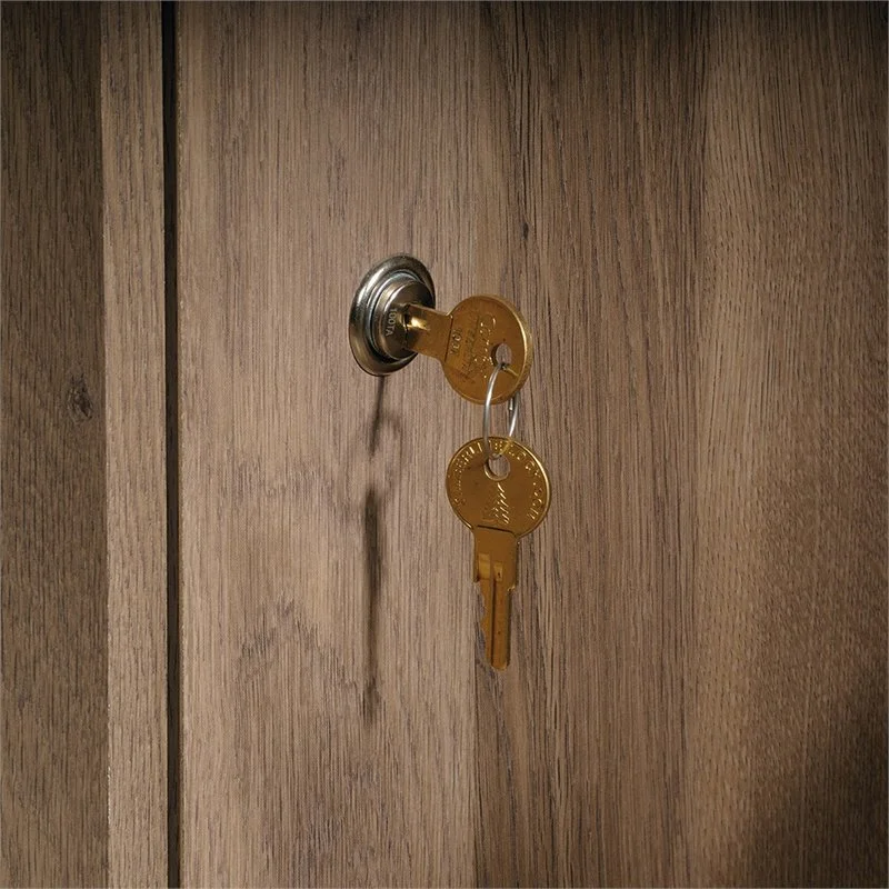 (Set of 2) 1 Drawer Lateral File Cabinet in Salt Oak