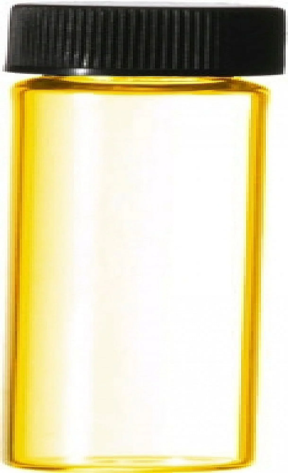 Donna Born In Rome - Type For Women Perfume Body Oil Fragrance [Regular Cap - Clear Glass - Gold - 1/4 oz.]