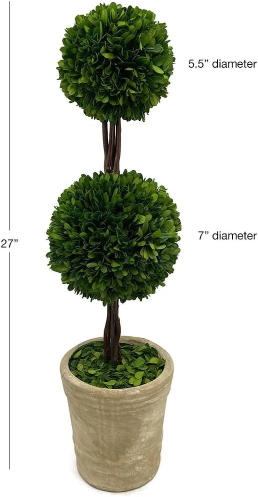 Real Preserved Boxwood Double Topiary