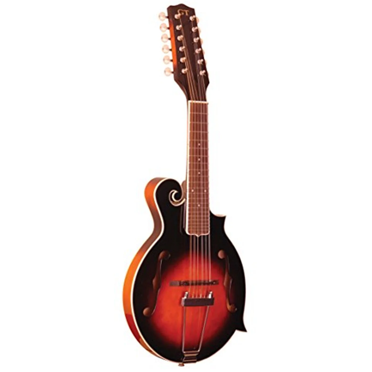 Gold Tone, 12-String Guitar Mandolin F-12