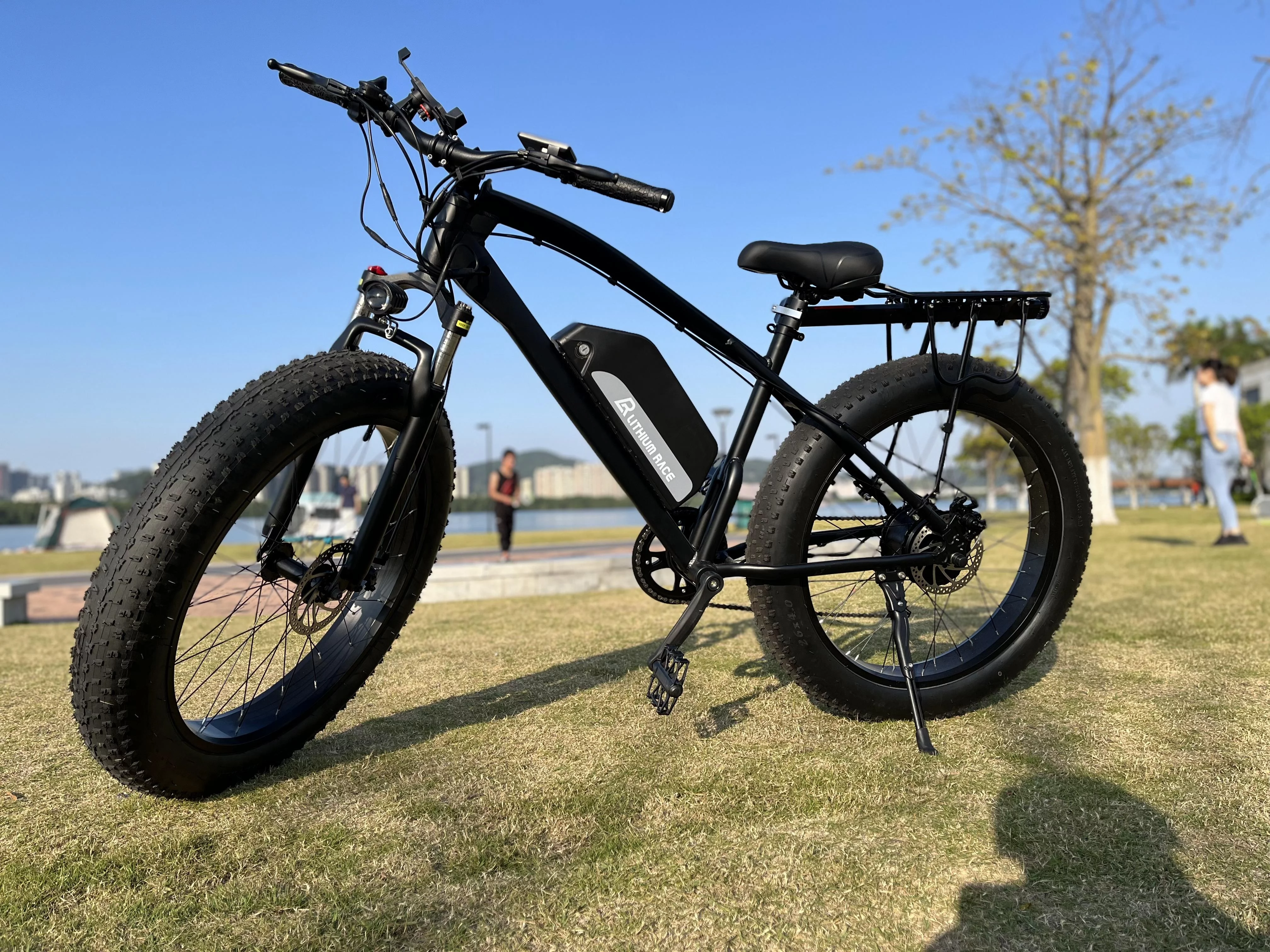 Chepei 26inch 750W 48V13.2AH Snow Electric Bicycle Fat Tire Mountian E-Bike off-road Electric Bicycles,(Adult)