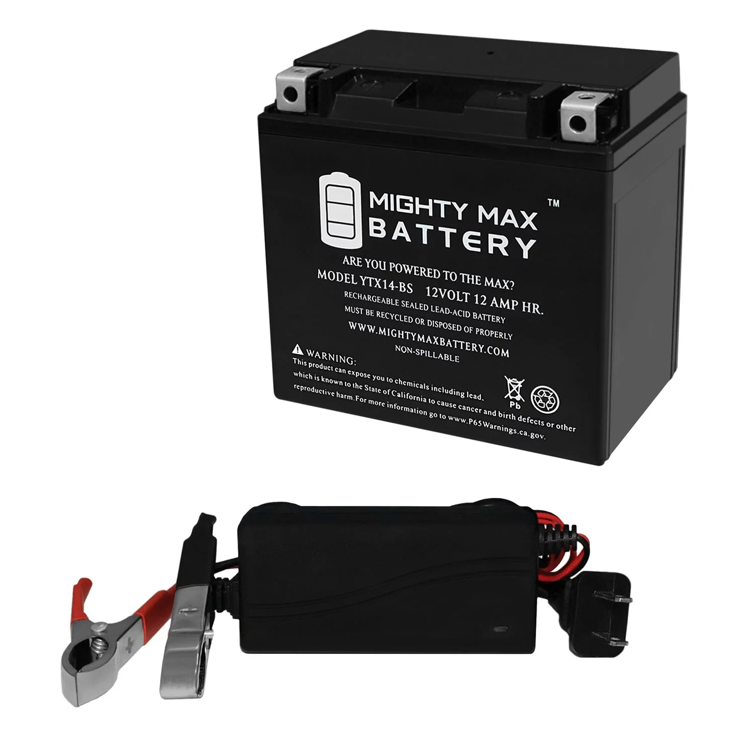 YTX14-BS Battery Replaces Kawasaki GPZ1100 1998 + 12V 1Amp Charger