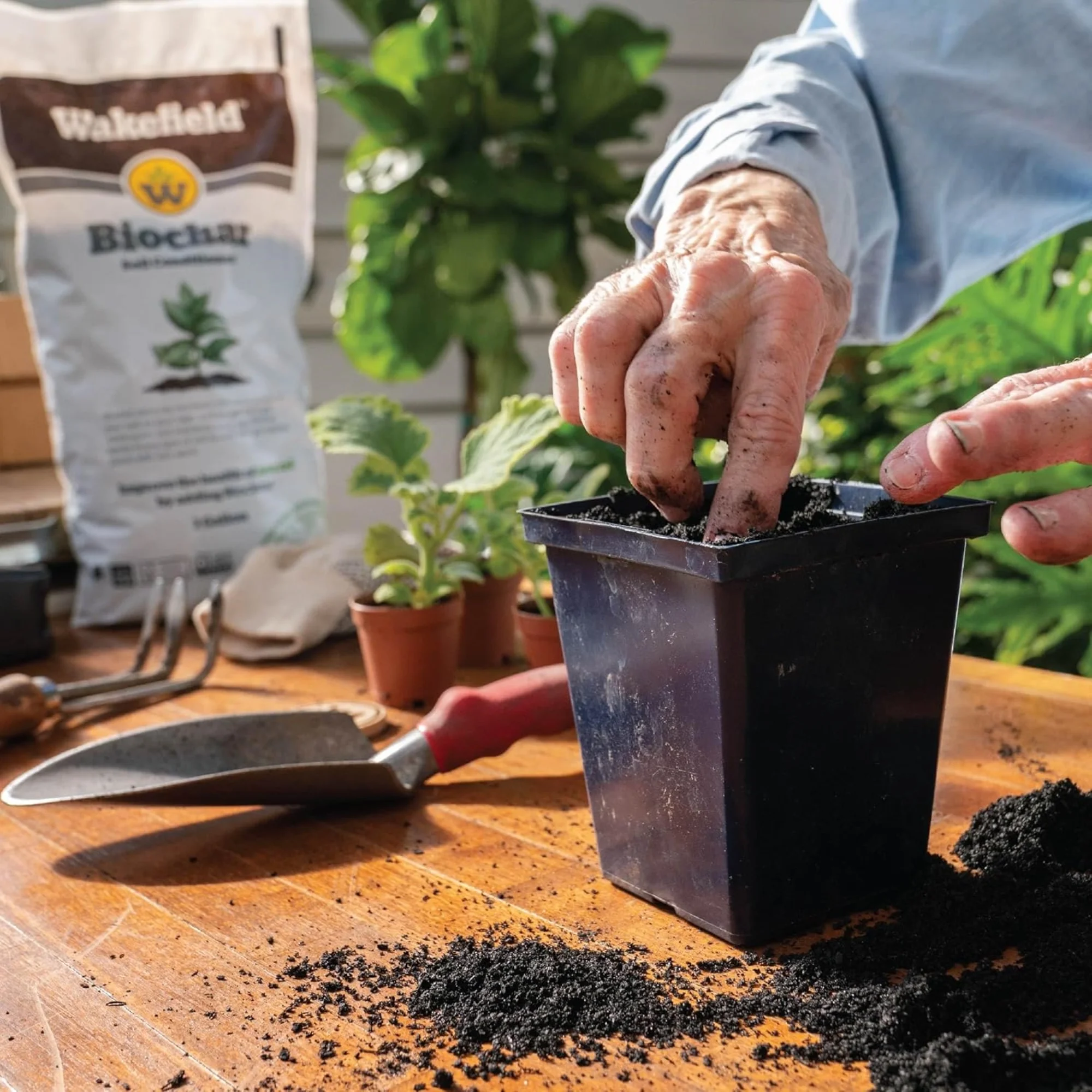 Wakefield Biochar Soil Conditioner - 1.5 Quarts