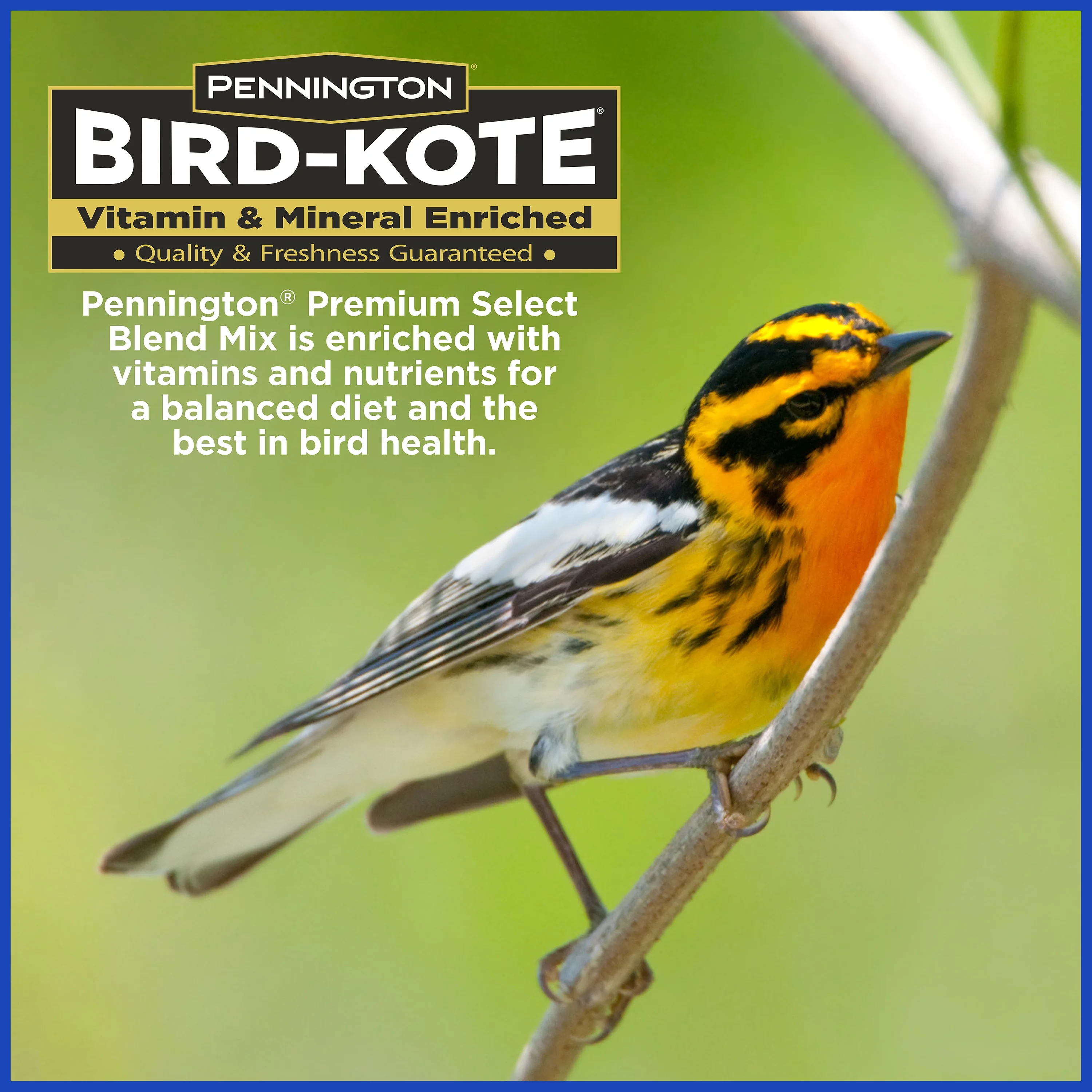 Pennington Premium Select Blend Dry Wild Bird Feed and Seed, 20 lb., 1 Pack