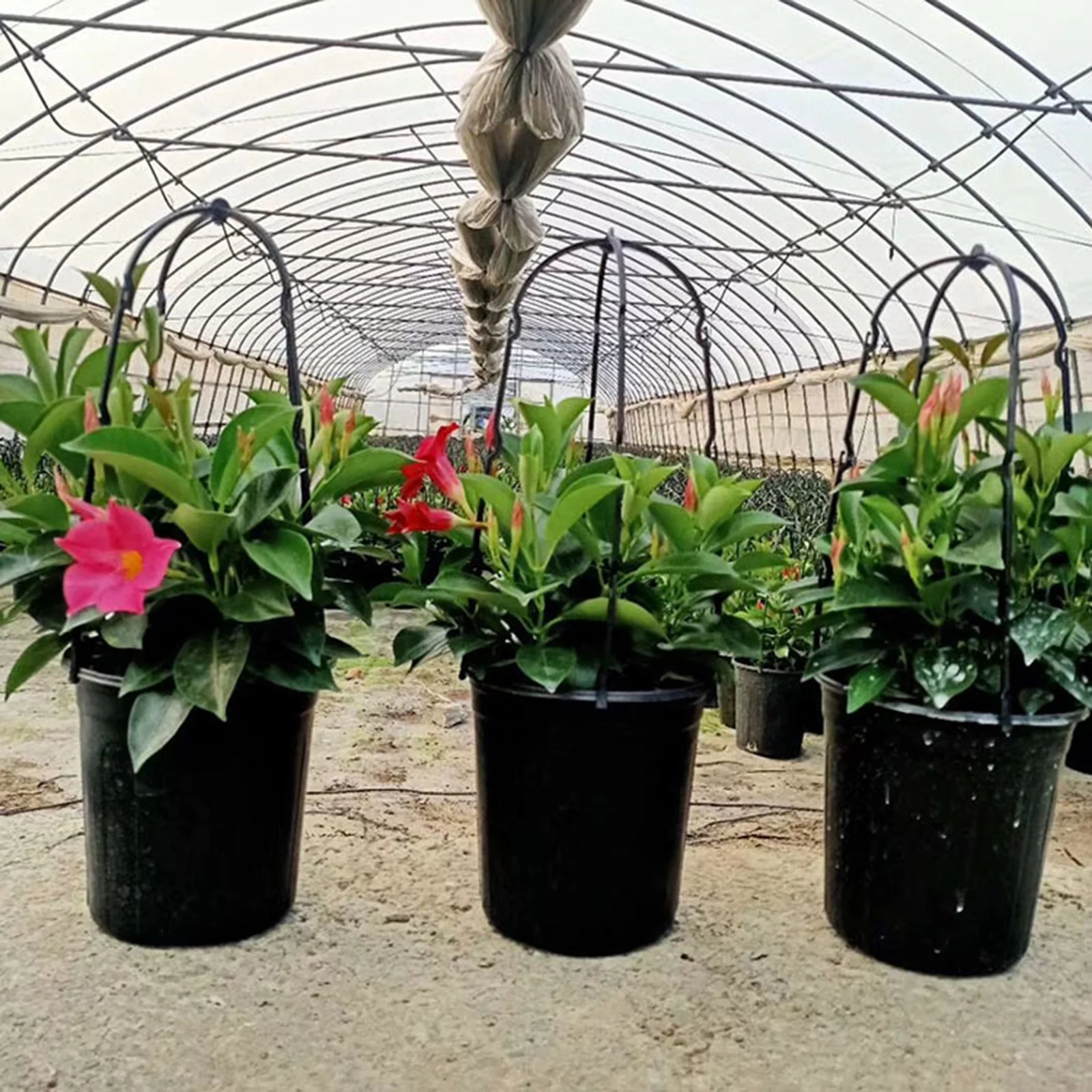 Huntermoon Plant Flower Stand Garden Trellis Waterproof Fencing Panels PP Black Trees Beans 6PCS Plastic Natural U-Hoops U-shaped