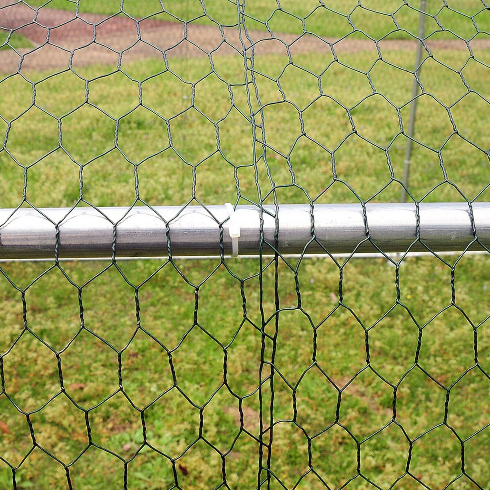 Large Walk in Chicken Run Coop Hen House Enclosure Backyard Poultry Cage Cover 20'x10'