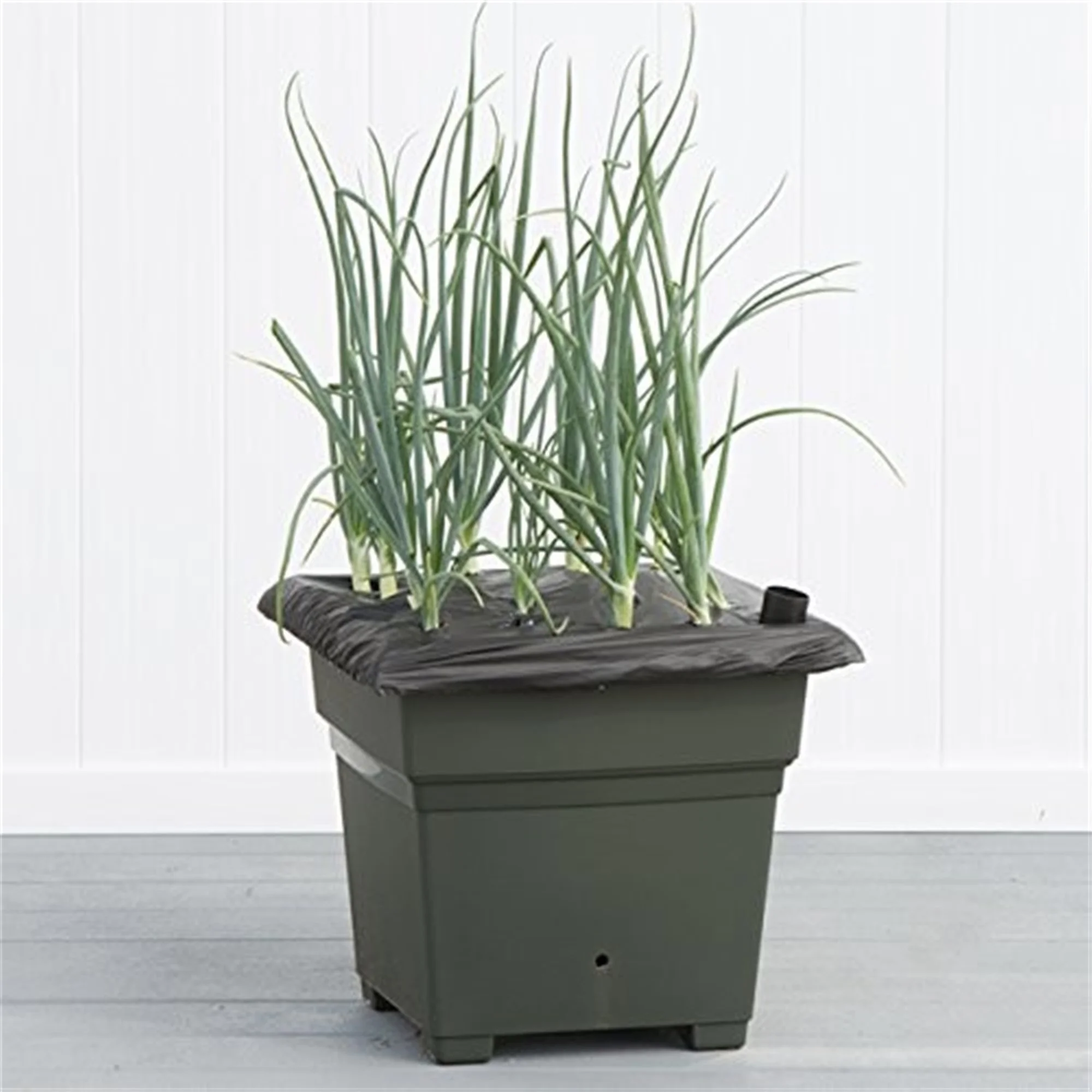 Novelty Earthbox Natural Root and Veg Garden Kit, Square, Green, 18