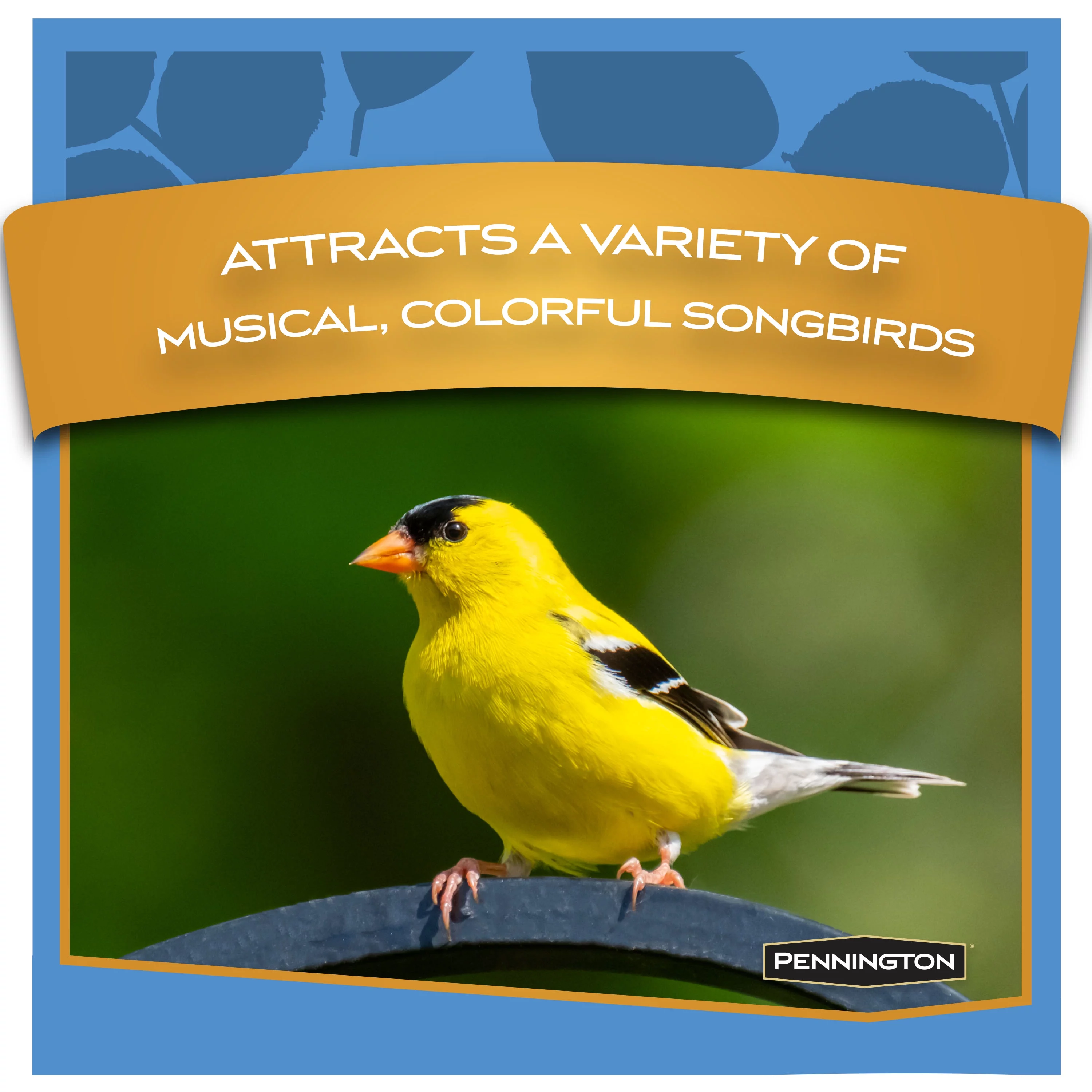 Pennington, High Energy, Peanut Butter Delight Dry Wild Bird Food Mix, 5 lb., 1 Pack, Dry