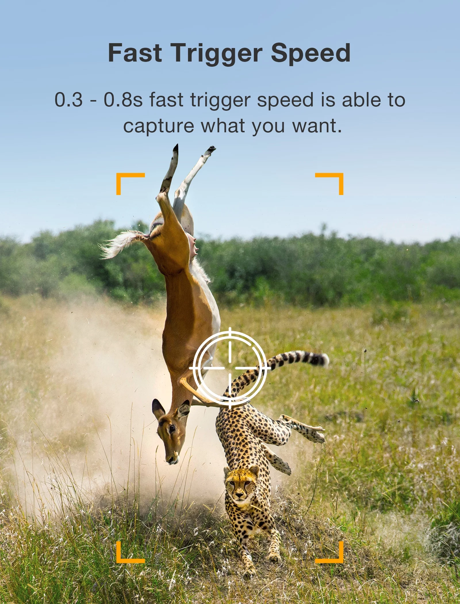 CAMPARK Trail Camera with SD Card and Batteries 24MP 1080P Game Hunting Camera with Night Vision Waterproof