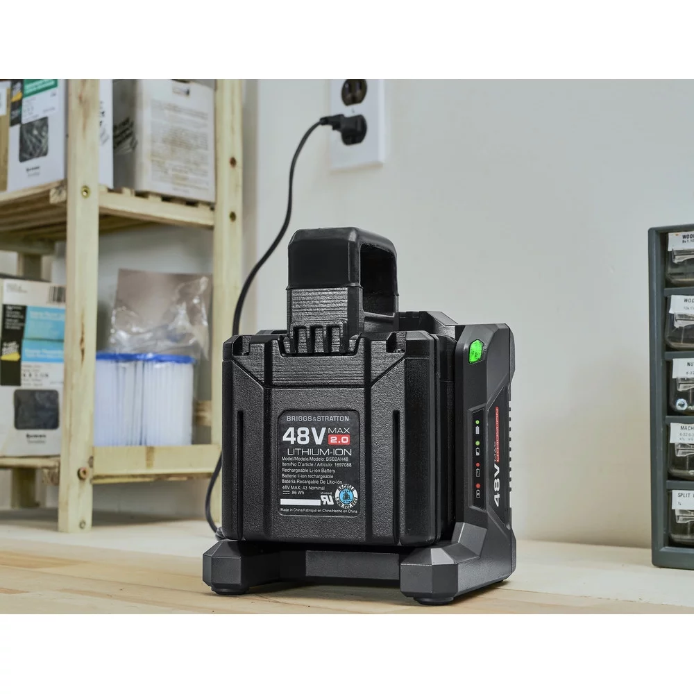 Briggs & Stratton 1697088 48V Max 2 Ah Lithium-Ion Battery