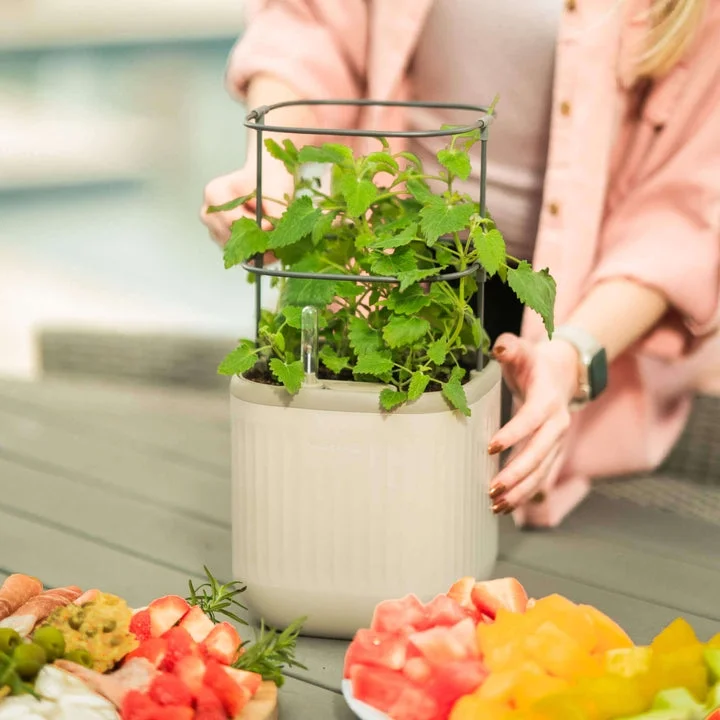 Vego Garden 2 Pack Self-Watering Mini Planter Box with Trellis Cream White