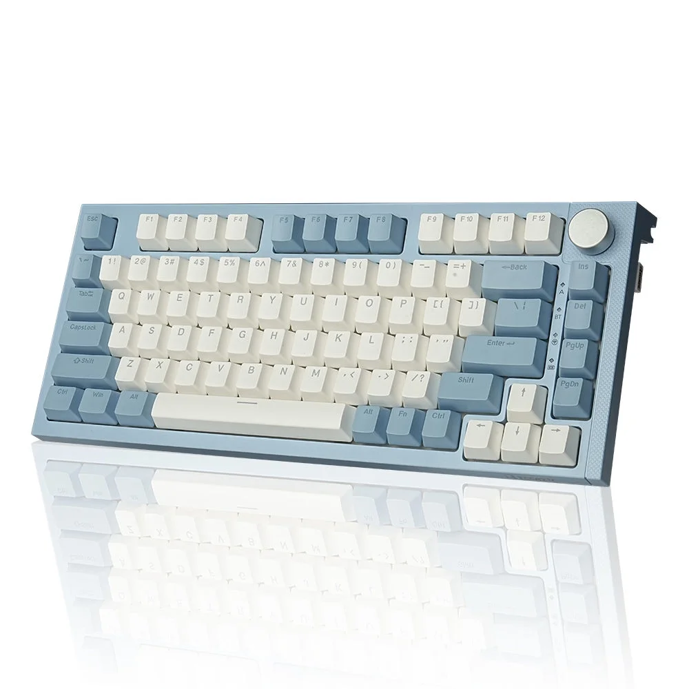 RECCAZR KW75S Wireless Mechanical Keyboard USB-C Wired/Bluetooth/2.4GHz Gaming Keyboard 81 Keys Gasket Mounted with Knob, RGB Backlight Hot-Swappable OUTEMU Blue Switch(Blue White)