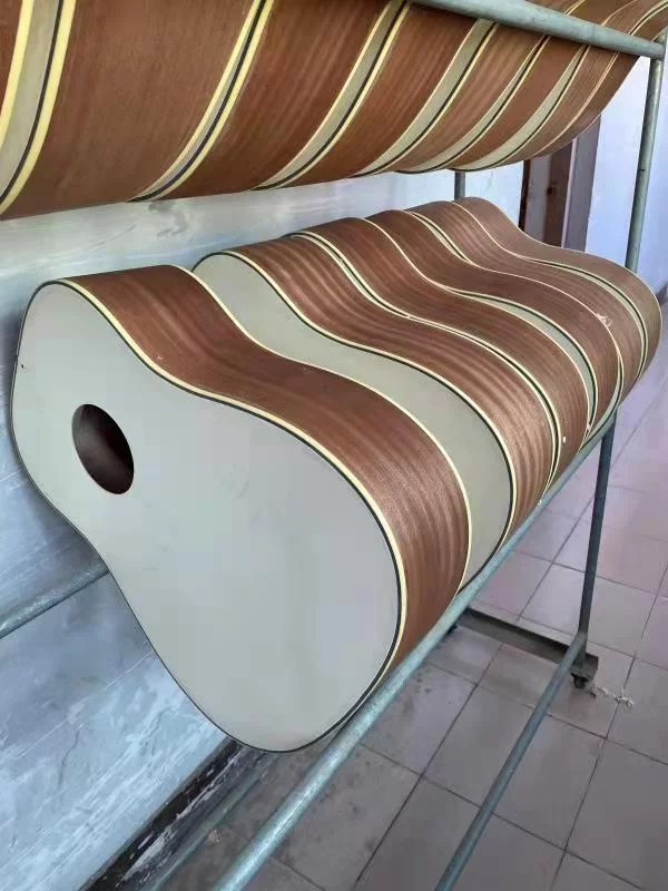 6 Strings classical /6 Strings Acoustic Double Neck, Double Sided Busuyi Guitar 2021 NPT