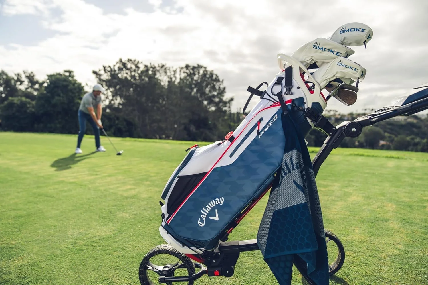 NEW 2024 Callaway Fairway+ Black Double Strap Stand/Carry Golf Bag