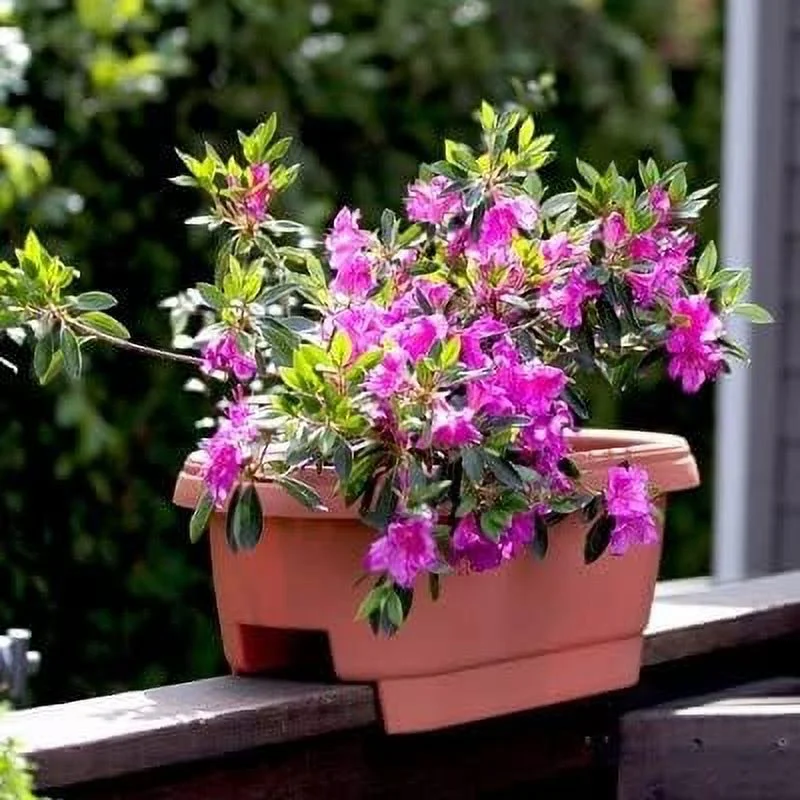 BLOEM DECK RAIL PLANTER