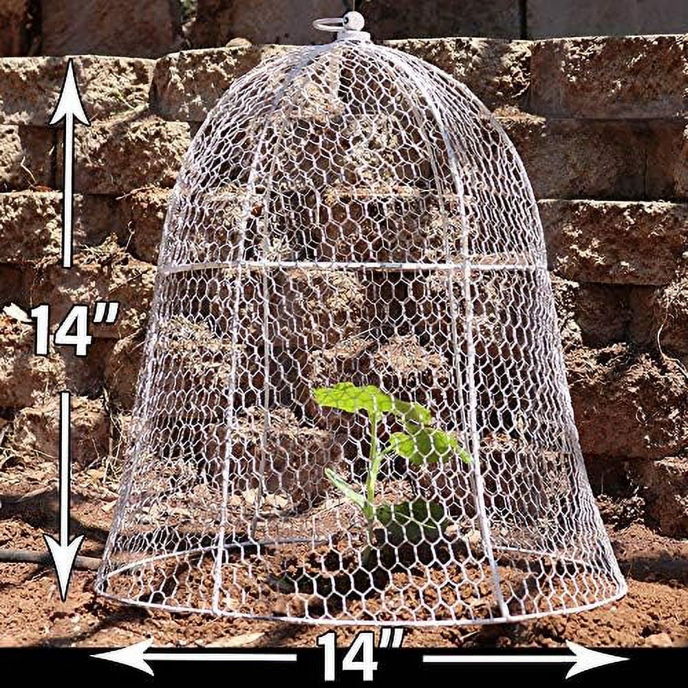 X  Squirrel Proof Chicken Wire Cloche For Plants Metal Plant Cover Cage Garden Animal ion Metal Plant Cage or Dome Rabbit Bunny Guard ( White)