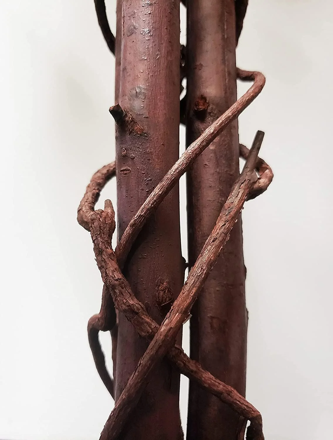 QINBI Green Gorgeous & Unique 6 Feet Ficus Capensia with Twisted Trunks Artificial Plant with Nursery Pot, UV Protection, Feel Real Technology, 2016 Leaves 4