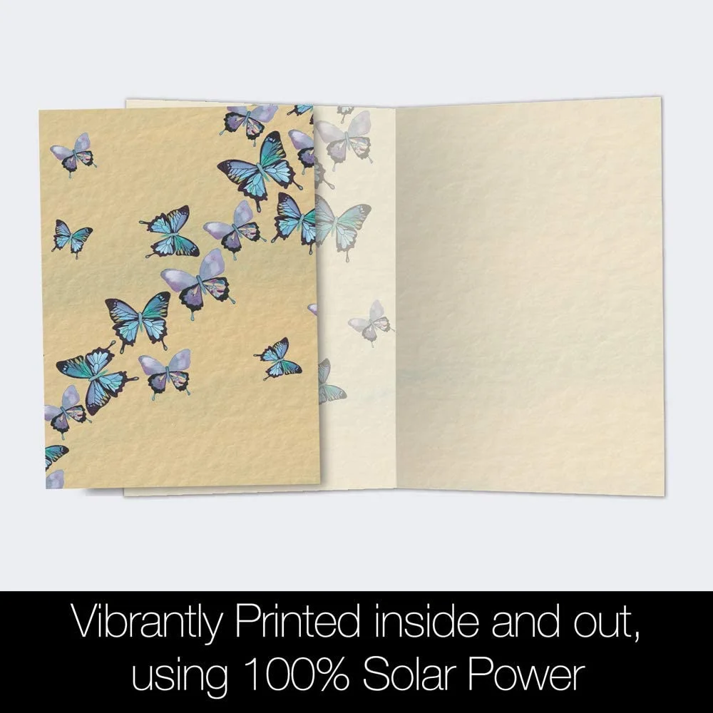 Tree-Free Greetings 12 Pack All Occasion Notecards,Eco Friendly,Made in USA,100% Recycled Paper, 4