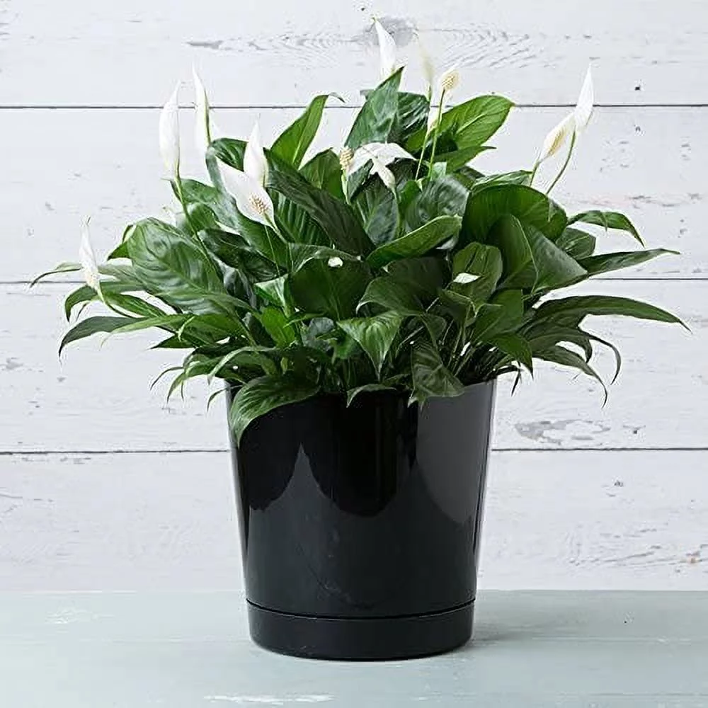 Novelty 11.8 in. H X 12 in. D Plastic Full Depth Cylinder Flower Pot Black