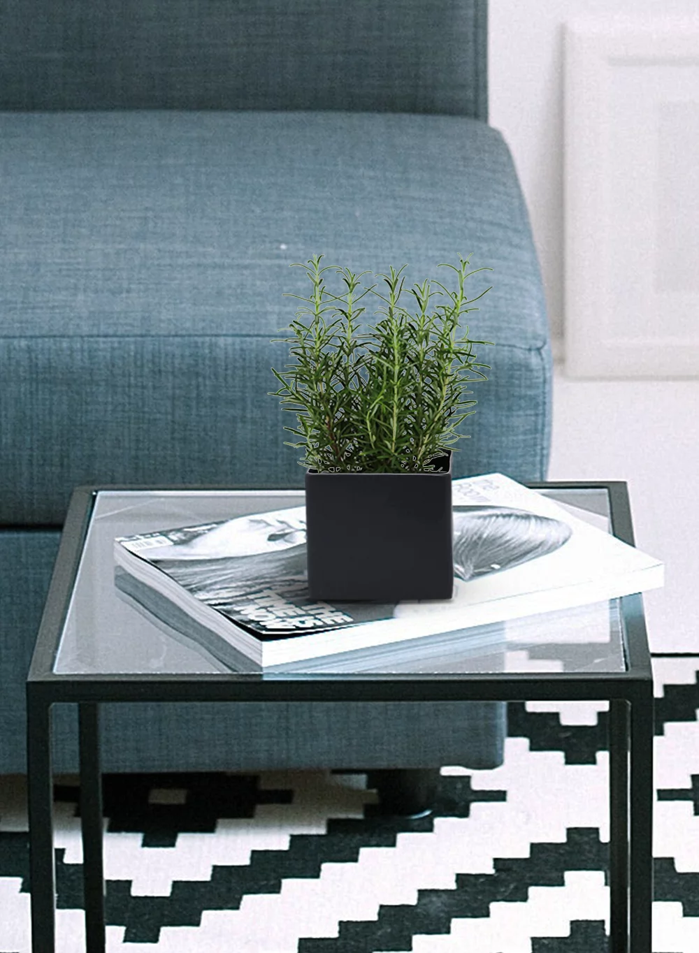 Serene Spaces Living Set of 6 Black Vases, Measures 5