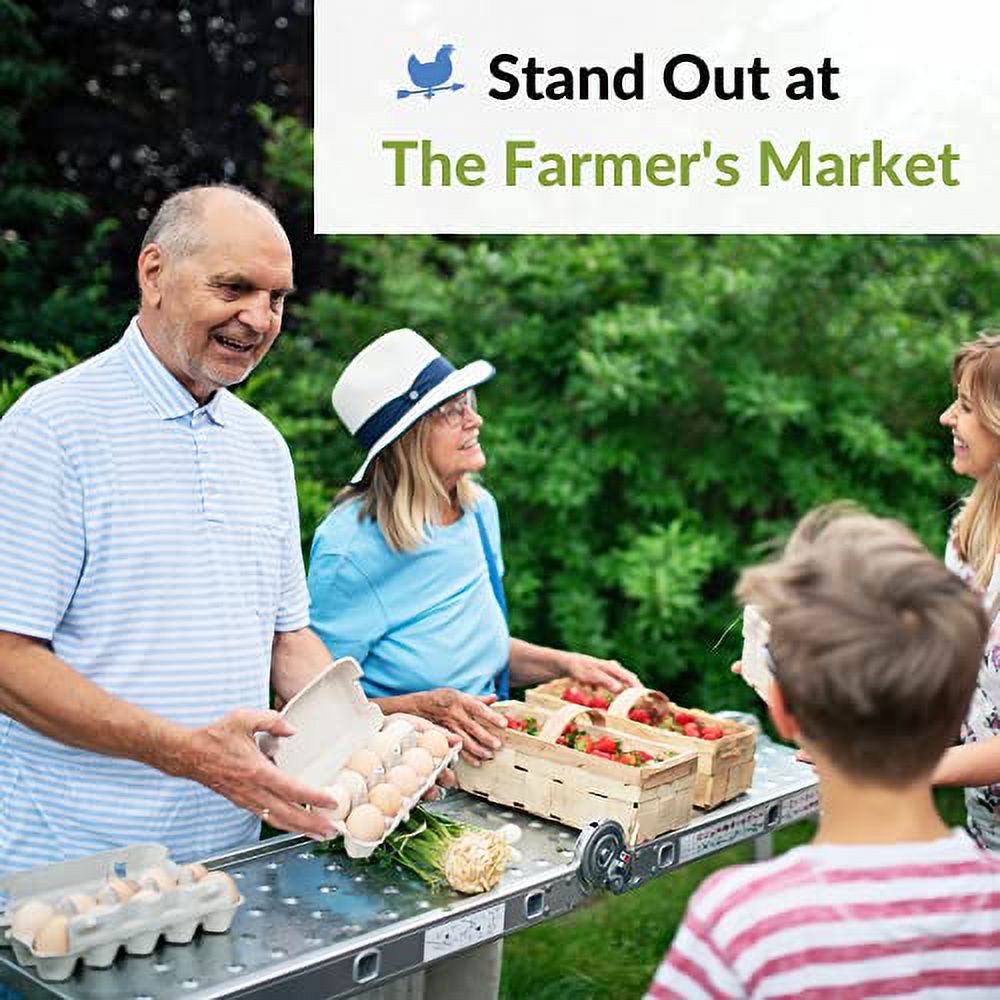 Blank 12-Egg Jumbo Paper Pulp Egg Cartons Bulk (125 Pack)