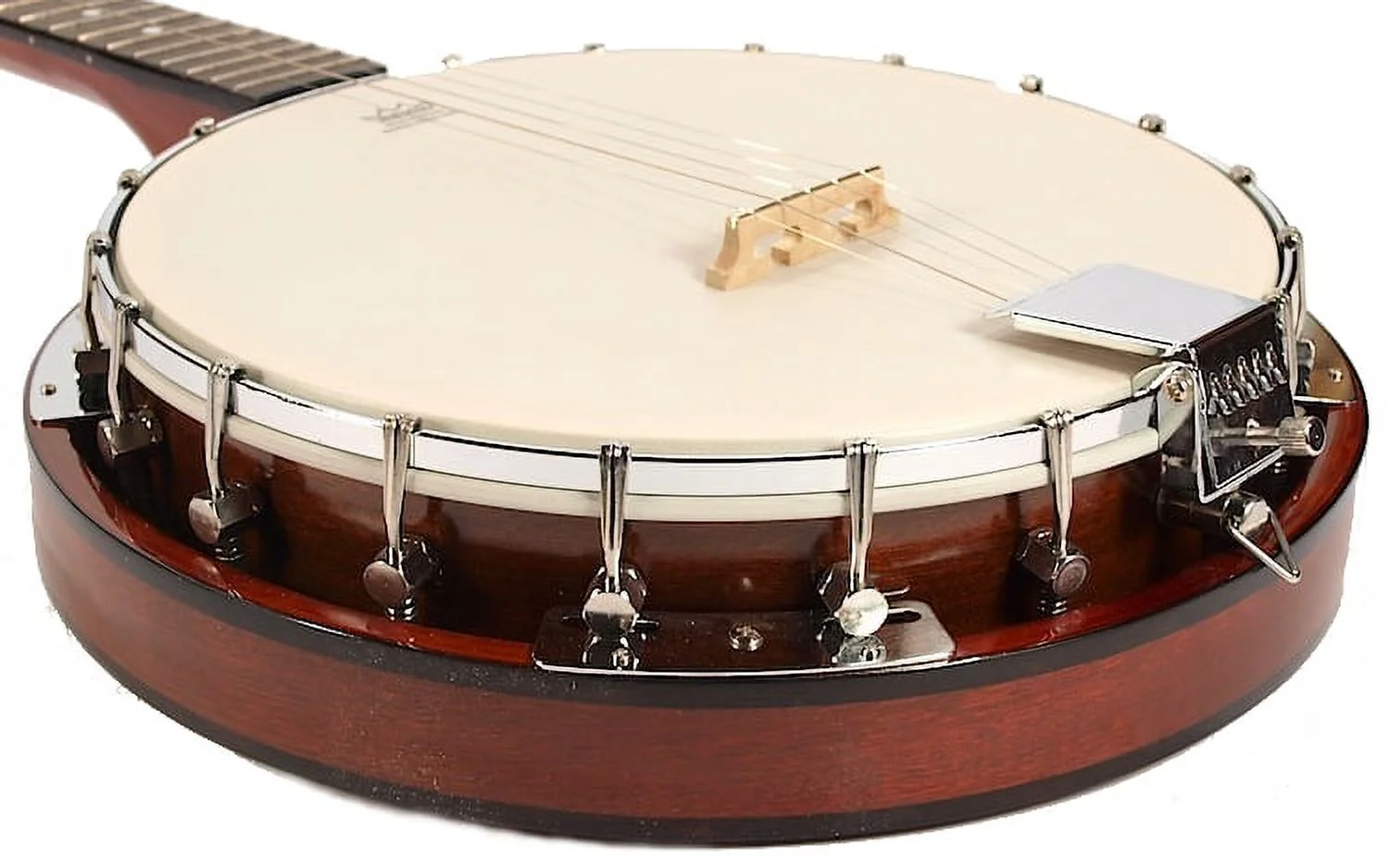5-String BANJO - REMO Head 38
