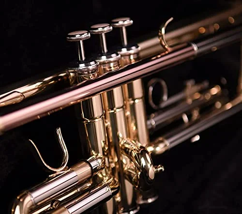 Professional Bb Trumpet Standard Trumpet set with Carrying Case,Gloves, 7C Mouthpiece and Cleaning Kit for Student Beginner