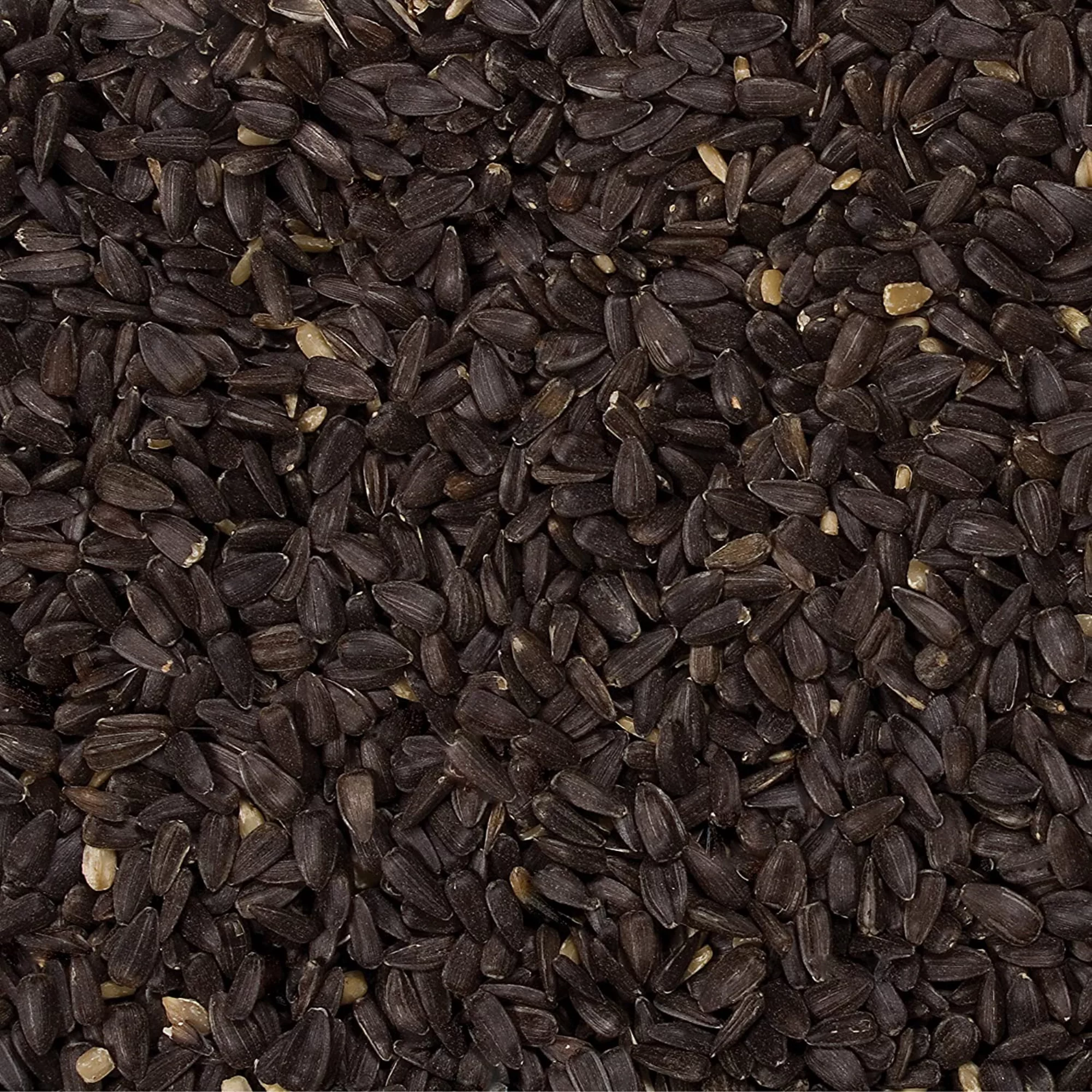 D&D Commodities Wild Delight (#361200) Premium Grade Black Oil Sunflowers, 20#