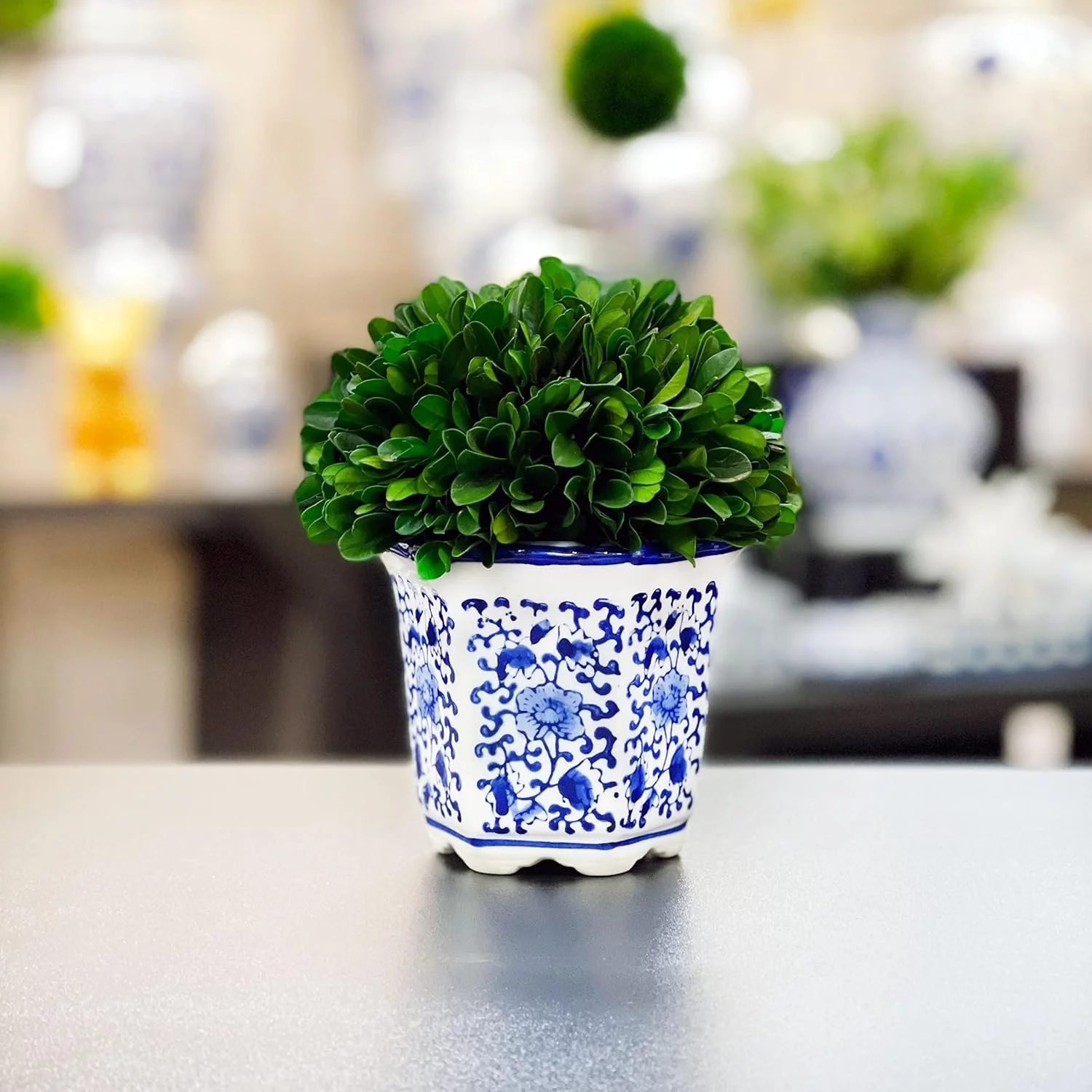 Naturally Preserved Real Boxwood In Hand-Painted Blue & White China Planter Green Indoor Plant Home Decor (Small  Tall Topiary)