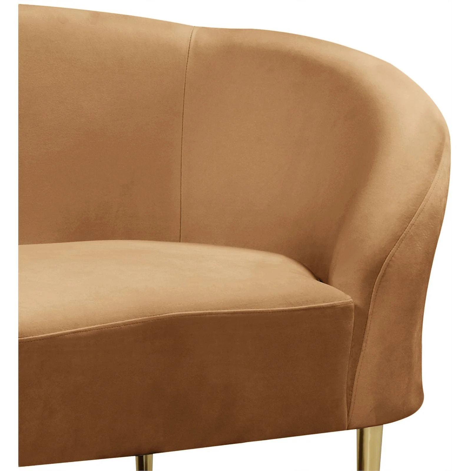 Meridian Furniture Ritz Saddle Velvet Chair
