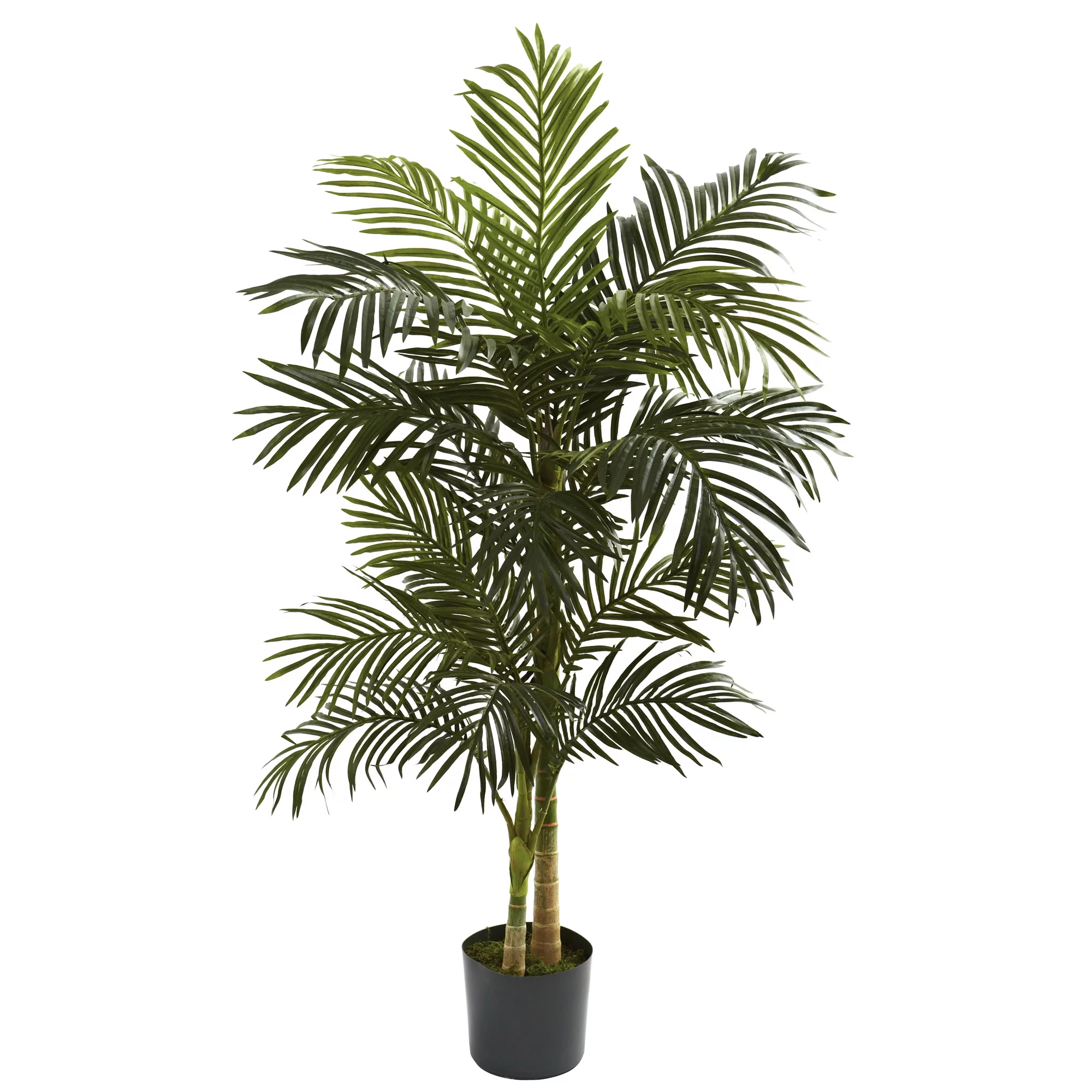 Pack of 2, Nearly Natural 5-ft. Artificial Golden Cane Silk Palm Tree, Green