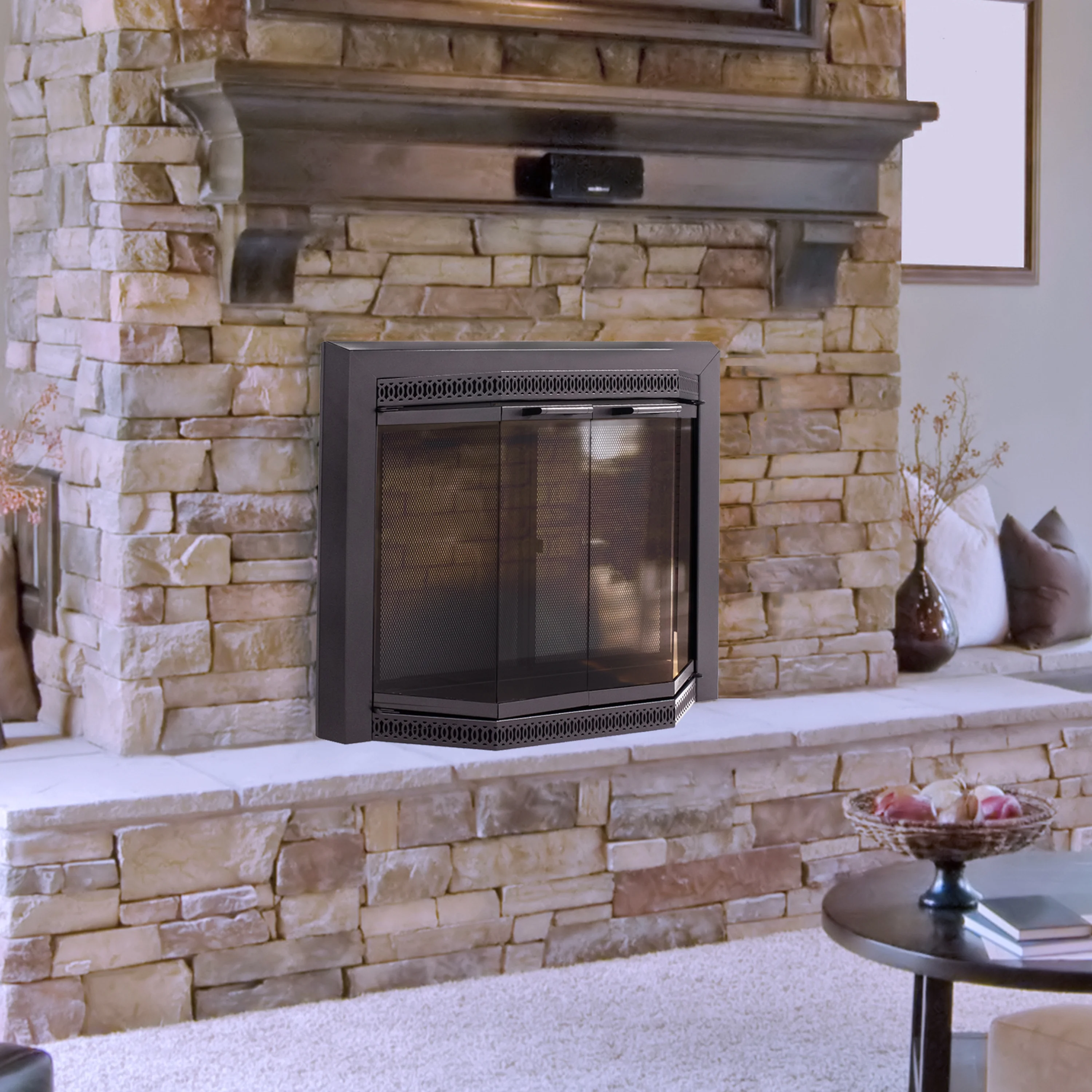 Pleasant Hearth Gavin Collection Fireplace Glass Door