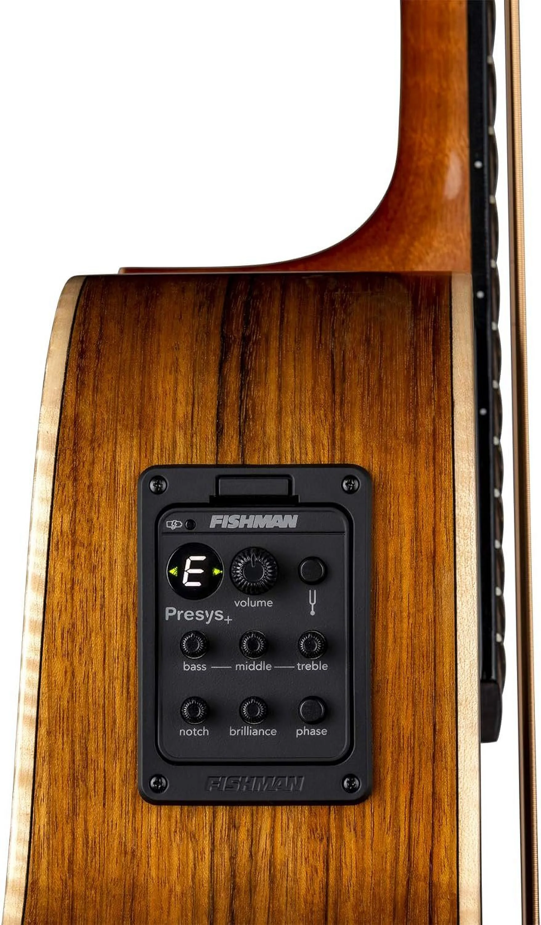 Luna Vista Bear Acoustic Electric 4 String Bass Guitar with Hardshell Case