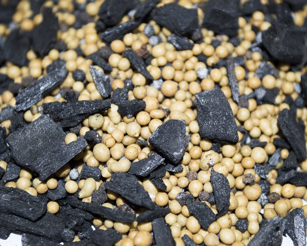 Biochar Fertilizer 18-5-12 (32oz Bag - 2 PACK) - Time Release Fertilizer with Biochar