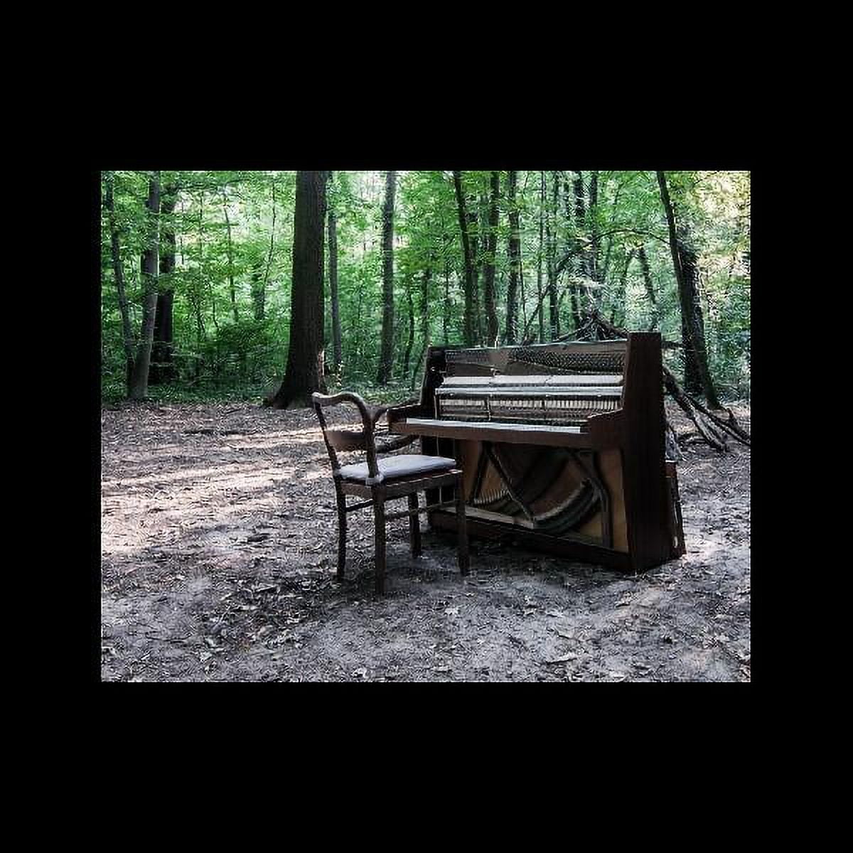 Eye Of Time The - Acoustic Ii - CD