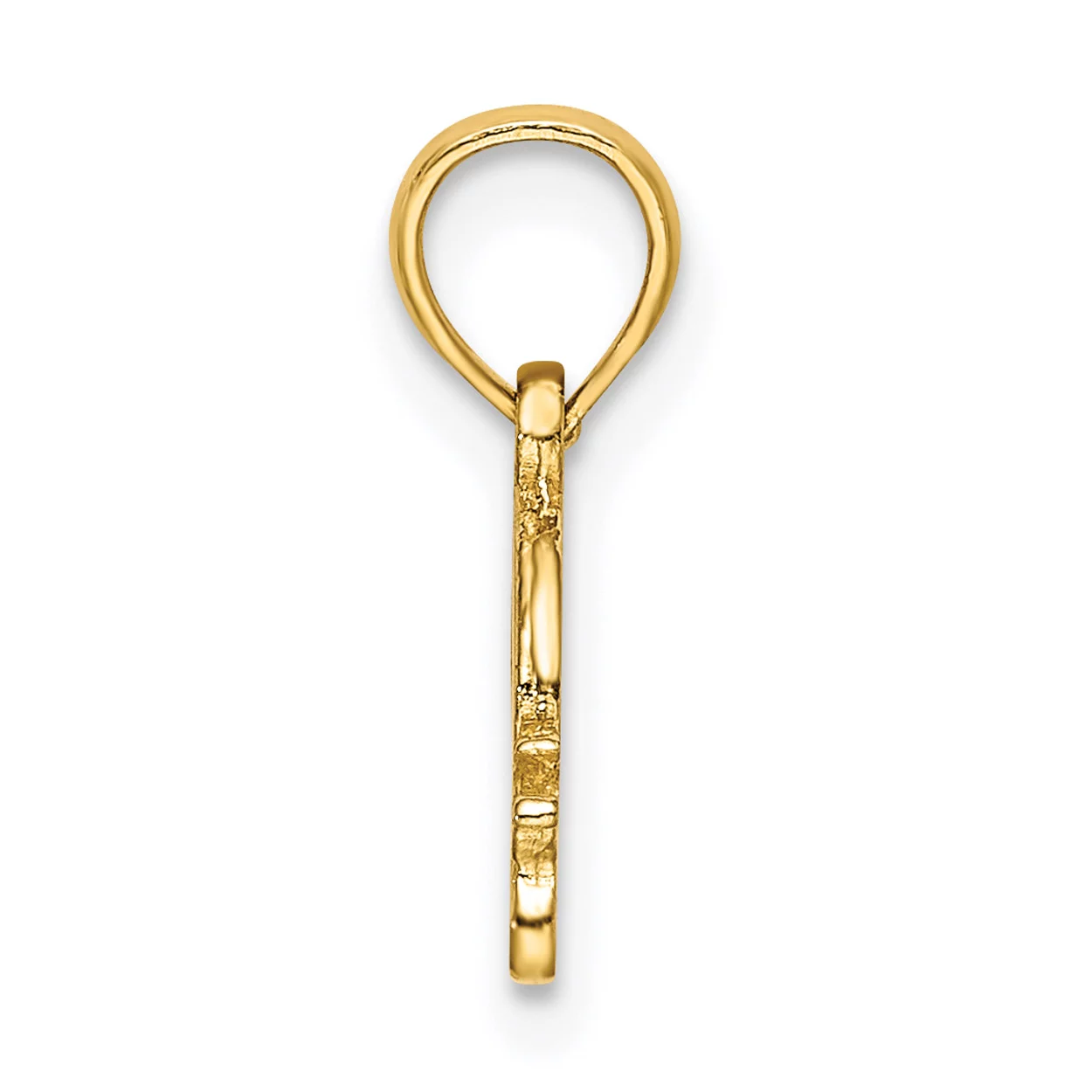 Carat in Karats 14K Yellow Gold Textured Mini Snail Pendant Charm (12.44mm) With 14K Yellow Gold Lightweight Rope Chain Necklace 20''