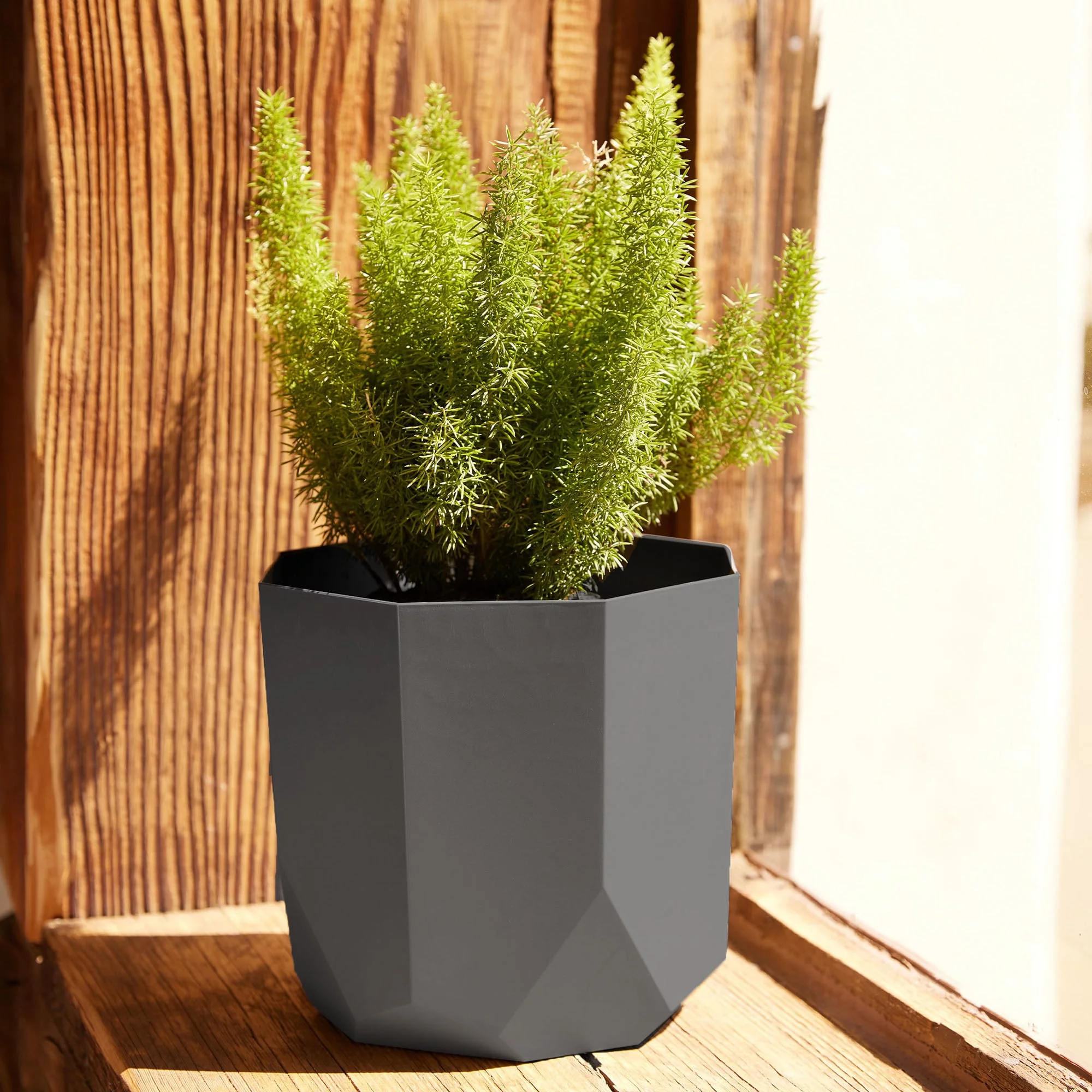 Bloem 10-in Tuxton Geometric Resin Planter - Charcoal Gray